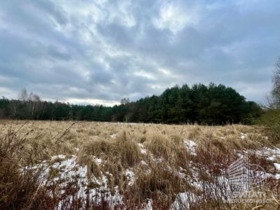Działka na sprzedaż, Nowe Warpno Brzózki, 3039 m² — MAP22716, zdjęcie 5