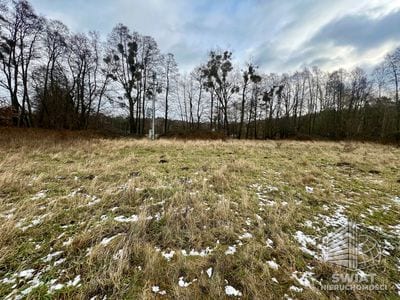 Działka na sprzedaż, Nowe Warpno Brzózki, 34547 m² — MAP22717, zdjęcie 5