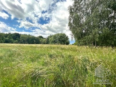 Działka na sprzedaż, Nowe Warpno, 1114 m² — LGR21995, zdjęcie 2