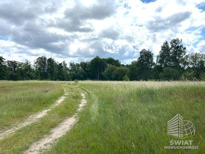 Działka na sprzedaż, Nowe Warpno, 1114 m² — LGR21995, zdjęcie 5