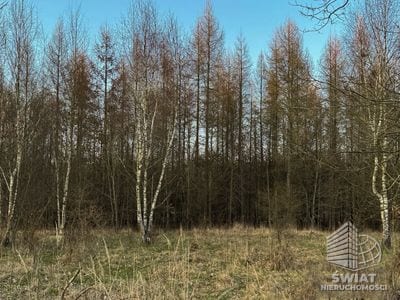Działka na sprzedaż, Nowogard Błotny Młyn, 903 m² — MAR22241, zdjęcie 3