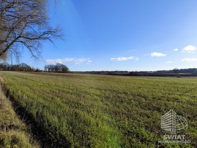 Działka na sprzedaż, Nowogard Wojcieszyn, 32500 m² — BON48860, zdjęcie 2
