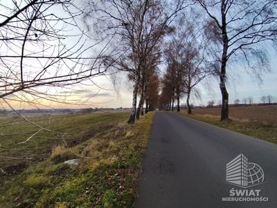 Działka na sprzedaż, Nowogard Wojcieszyn, 32500 m² — BON48860, zdjęcie 6