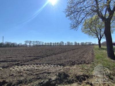 Działka na sprzedaż, Nowogard Wojcieszyn, 16700 m² — BON49446, zdjęcie 2