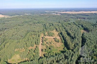 Działka na sprzedaż, Osina Krzywice, 3249 m² — MNI21577, zdjęcie 4