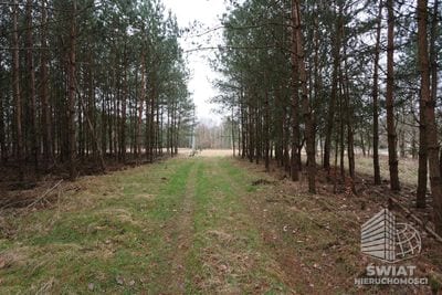 Działka na sprzedaż, Osina Krzywice, 3249 m² — MNI21577, zdjęcie 6
