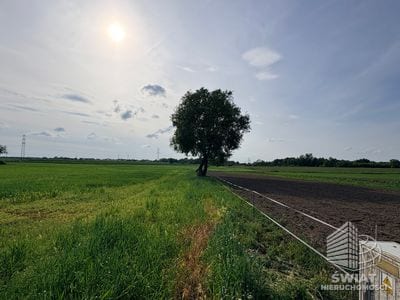 Działka na sprzedaż, Police Przęsocin, 4606 m² — MEM22931, zdjęcie 1