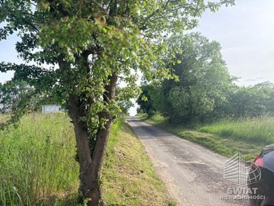 Działka na sprzedaż, Police Przęsocin, 4606 m² — MEM22931, zdjęcie 2