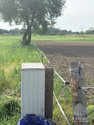 Działka na sprzedaż, Police Przęsocin, 4606 m² — MEM22931, zdjęcie 3