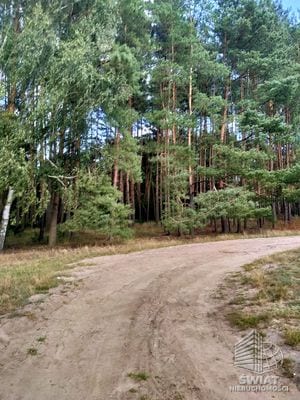 Działka na sprzedaż, Police Tanowo, 3144 m² — INW31430, zdjęcie 2