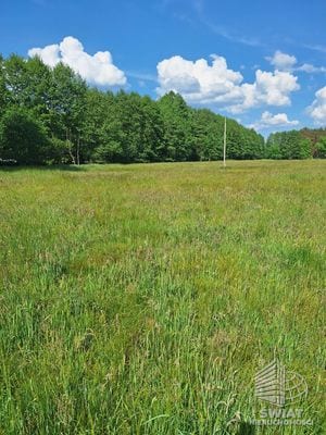 Działka na sprzedaż, Police Tanowo, 3144 m² — INW31430, zdjęcie 4