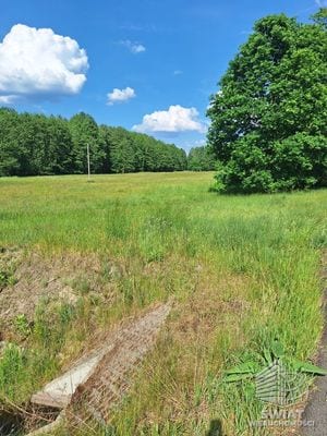 Działka na sprzedaż, Police Tanowo, 3362 m² — INW31431, zdjęcie 2