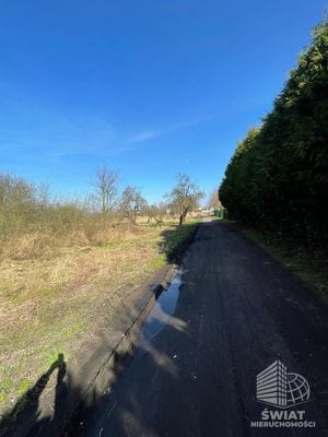 Działka na sprzedaż, Police Trzebież, 4800 m² — HAC22595, zdjęcie 3