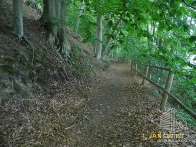 Działka na sprzedaż, Przybiernów Zabierzewo, 50200 m² — KOM32046, zdjęcie 2