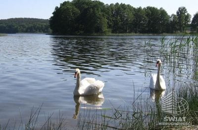 Działka na sprzedaż, Przybiernów Zabierzewo, 50200 m² — MTN13277, zdjęcie 1