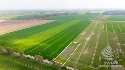 Działka na sprzedaż, Pyrzyce, 2997 m² — 93/10212/OGS, zdjęcie 4
