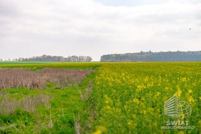 Działka na sprzedaż, Pyrzyce, 2997 m² — 93/10212/OGS, zdjęcie 5