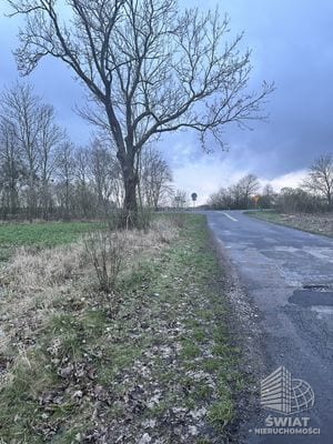 Działka na sprzedaż, Pyrzyce Ryszewko, 40917 m² — UBR22994, zdjęcie 6