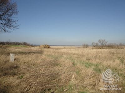 Działka na sprzedaż, Pyrzyce Turze, 10000 m² — ARK25329, zdjęcie 1