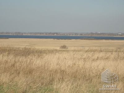 Działka na sprzedaż, Pyrzyce Turze, 10000 m² — ARK25329, zdjęcie 2