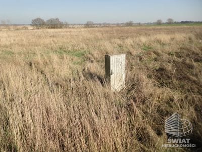 Działka na sprzedaż, Pyrzyce Turze, 10000 m² — ARK25329, zdjęcie 3