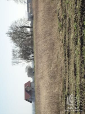 Działka na sprzedaż, Pyrzyce Turze, 10000 m² — ARK25329, zdjęcie 4