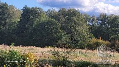 Działka na sprzedaż, Recz Rajsko, 1200 m² — INB20588, zdjęcie 5