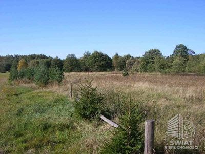 Działka na sprzedaż, Rewal Pobierowo, 999 m² — INW25037, zdjęcie 5
