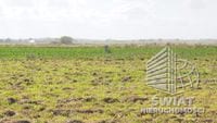 Działka na sprzedaż, Rewal Śliwin, 1595 m² — GAN21844, zdjęcie 2
