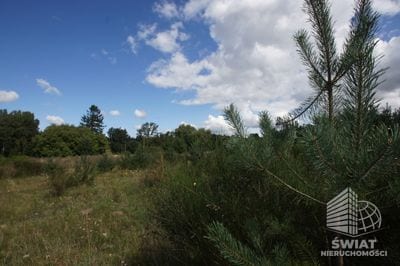 Działka na sprzedaż, Siemyśl Charzyno, 1002 m² — CIE24690, zdjęcie 4