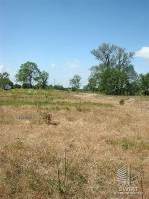Działka na sprzedaż, Stara Dąbrowa, 1540 m² — FKT25221, zdjęcie 2