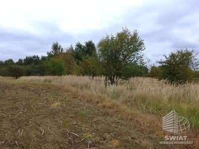 Działka na sprzedaż, Stara Dąbrowa, 1492 m² — INW29721, zdjęcie 5