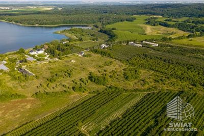 Działka na sprzedaż, Stare Czarnowo Binowo, 6985 m² — 96/10212/OGS, zdjęcie 3