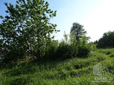 Działka na sprzedaż, Stare Czarnowo Binowo, 1962 m² — FKT25218, zdjęcie 4
