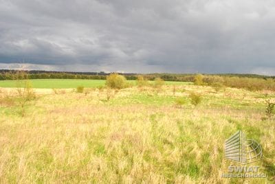Działka na sprzedaż, Stare Czarnowo Binowo, 841 m² — PMR24471, zdjęcie 4