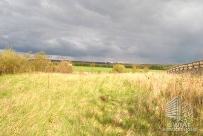 Działka na sprzedaż, Stare Czarnowo Binowo, 900 m² — PMR25280, zdjęcie 2