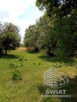 Działka na sprzedaż, Stare Czarnowo Dębina, 4300 m² — KOM32464, zdjęcie 2