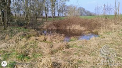 Działka na sprzedaż, Stare Czarnowo Dębina, 4300 m² — KOM32464, zdjęcie 3