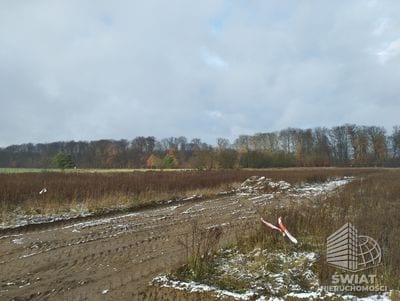 Działka na sprzedaż, Stare Czarnowo Dobropole Gryfińskie, 1951 m² — ROY04014, zdjęcie 3