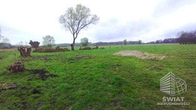 Działka na sprzedaż, Stare Czarnowo Dobropole Gryfińskie, 1951 m² — ROY04544, zdjęcie 1