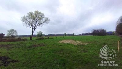 Działka na sprzedaż, Stare Czarnowo Dobropole Gryfińskie, 1951 m² — ROY04544, zdjęcie 2