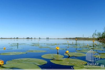 Działka na sprzedaż, Stare Czarnowo Żelewo, 2075 m² — FKT25047, zdjęcie 2