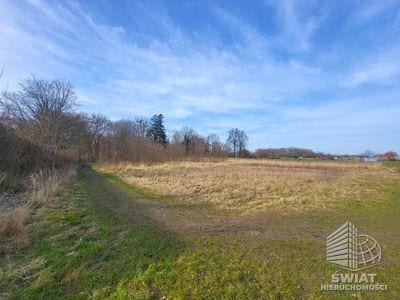 Działka na sprzedaż, Stargard Koszewo, 2400 m² — 83/11683/OGS, zdjęcie 2