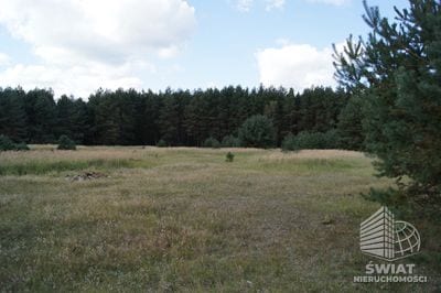 Działka na sprzedaż, Stargard Sowno, 10546 m² — CIE23377, zdjęcie 5