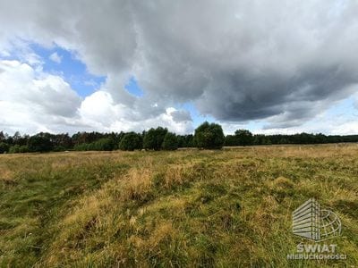 Działka na sprzedaż, Stargard Żarowo, 22023 m² — MNI21594, zdjęcie 6