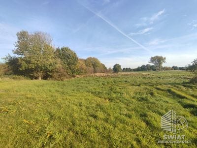 Działka na sprzedaż, Stepnica Żarnowo, 4235 m² — MNI22081, zdjęcie 2