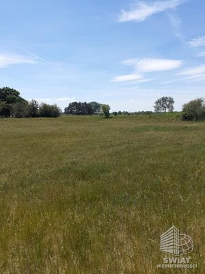 Działka na sprzedaż, Stepnica Żarnowo, 4235 m² — MNI22081, zdjęcie 3