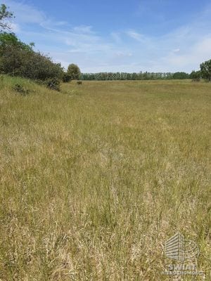 Działka na sprzedaż, Stepnica Żarnowo, 4235 m² — MNI22081, zdjęcie 4