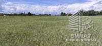 Działka na sprzedaż, Stepnica Żarnowo, 3169 m² — , zdjęcie 3