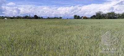 Działka na sprzedaż, Stepnica Żarnowo, 3169 m² — MNI22235, zdjęcie 3